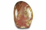 Free-Standing, Polished Petrified Wood - Madagascar #271811-1